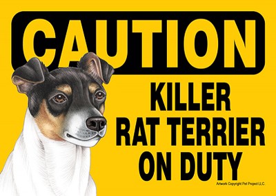 Killer Rat Terrier On Duty Dog Sign Magnet Velcro 5x7
