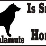 Alaskan Malamute Dog Smarter Than Honor Bumper Sticker