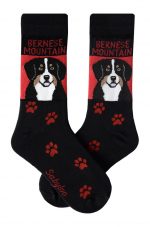 Bernese Mountain Dog Socks Red and Black in Color