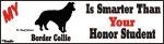 Border Collie Dog Smarter Than Honor Bumper Sticker