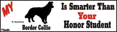 Border Collie Dog Smarter Than Honor Bumper Sticker