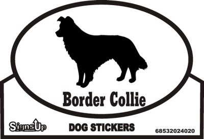 Border Collie Bumper Sticker
