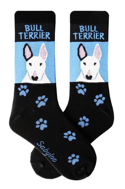 Bull Terrier White Socks Blue and Black in Color
