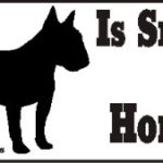 Bull Terrier Dog Smarter Than Honor Bumper Sticker