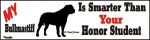 Bull Mastiff Smart Dog Bumper Sticker