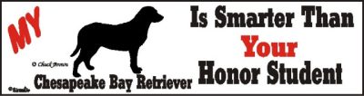 Chesapeake Bay Retriever Dog Smarter Than Honor Bumper Sticker Chesapeake Bay Retriever Dog Smarter Than Honor Bumper Sticker