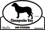 Chesapeake Bay Retriever Bumper Sticker