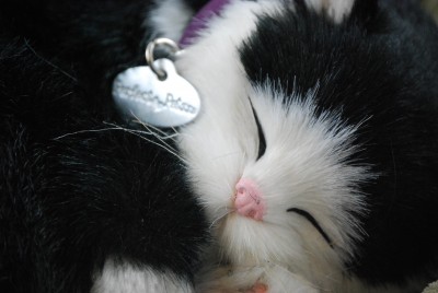 Black White Shorthair Cat Stuffed Animal Perfect Petzzz_4