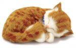 Orange Tabby Cat Perfect Petzzz Breathing Cat