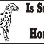 Dalmatian Smart Dog Bumper Sticker