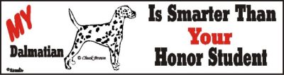 Dalmatian Smart Dog Bumper Sticker 1 Dalmatian Smart Dog Bumper Sticker