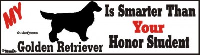 Golden Retriever Dog Smarter Than Honor Bumper Sticker