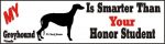 Greyhound Smart Dog Bumper Sticker