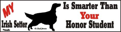 Irish Setter Dog Smarter Than Honor Bumper Sticker Irish Setter Dog Smarter Than Honor Bumper Sticker