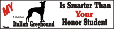 Italian Greyhound Dog Smarter Than Honor Bumper Sticker
