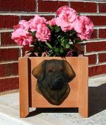 Leonberger Planter Flower Pot