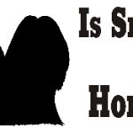 Lhasa Apso Dog Smarter Than Honor Bumper Sticker