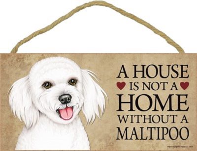 Maltipoo House is not a Home Sign