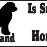 Newfoundland Smart Dog Bumper Sticker