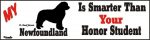 Newfoundland Smart Dog Bumper Sticker