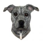 Am.Staffordshire Terrier Head Plaque Figurine Blue Uncropped