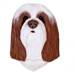 Bearded Collie Head Plaque Figurine Brown/White