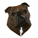 English Bulldog Head Plaque Figurine Brindle