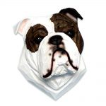 English Bulldog Head Plaque Figurine Brindle/White