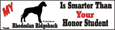 Rhodesian Ridgeback Dog Smarter Than Honor Bumper Sticker