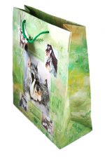 Schnauzer Gift Bag Green in Color