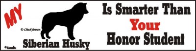 Siberian Husky Dog Smarter Than Honor Bumper Sticker