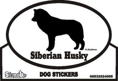Siberian Husky Bumper Sticker