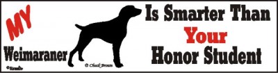 Weimaraner Smart Dog Bumper Sticker