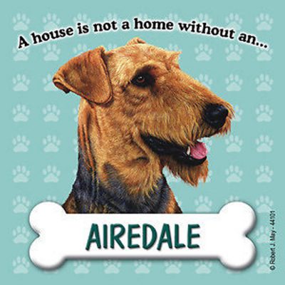 airedale-house-is-not-a-home-magnet