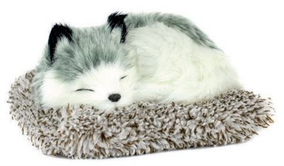 Alaskan Husky Perfect Petzzz Mini