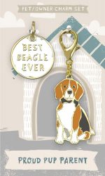 Beagle Collar Charm and Keychain Set