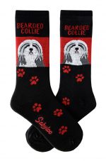 Bearded Collie Socks on Red Background