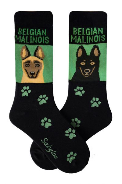 Belgian Malinois Socks on Green Background
