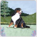 Bernese Mountain Dog Yard Scene Coasters Set of 4