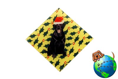 Black Lab Dog Crystal Glass Holiday Christmas Ornament