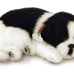 border collie stuffed dog