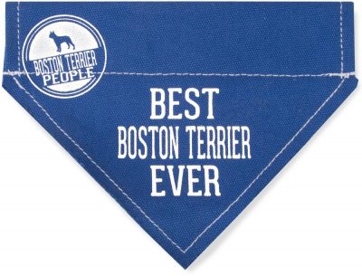 Best Boston Terrier Ever Bandana