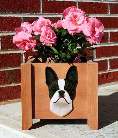 Boston Terrier Planter Flower Pot Brindle