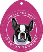 Boston Terrier Sticker 4x4"