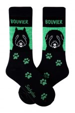 Bouvier Socks on Green Background