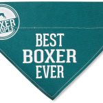 Best Boxer Ever Bandana