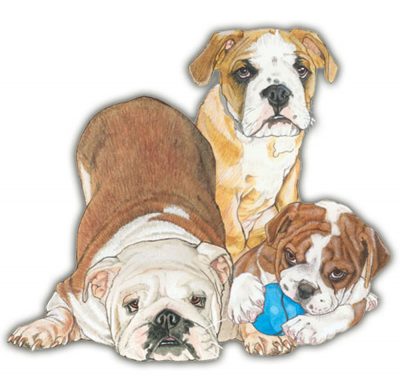 Bulldog Wooden Magnet Family