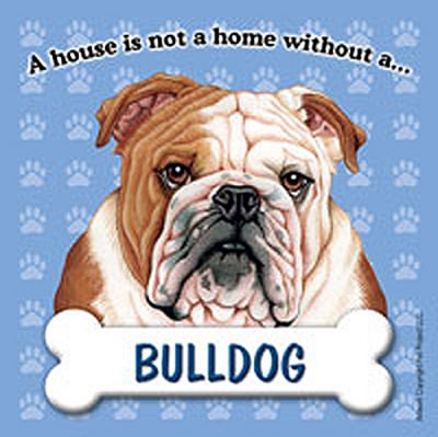 Bulldog Dog Magnet