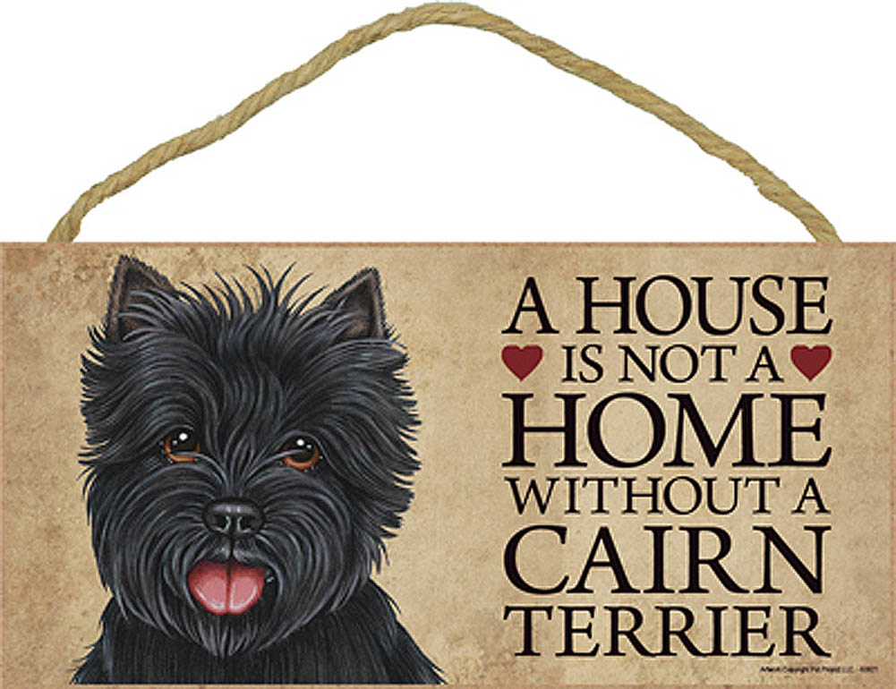 Targa In Metallo Retrò 20x30 Cm - Regole Della Casa Del Cairn Terrier - Decorazione Umoristica Per Giardino, Caffè E Parete