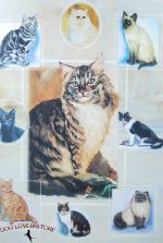 Cat Gift Wrap Present Wrapping Paper